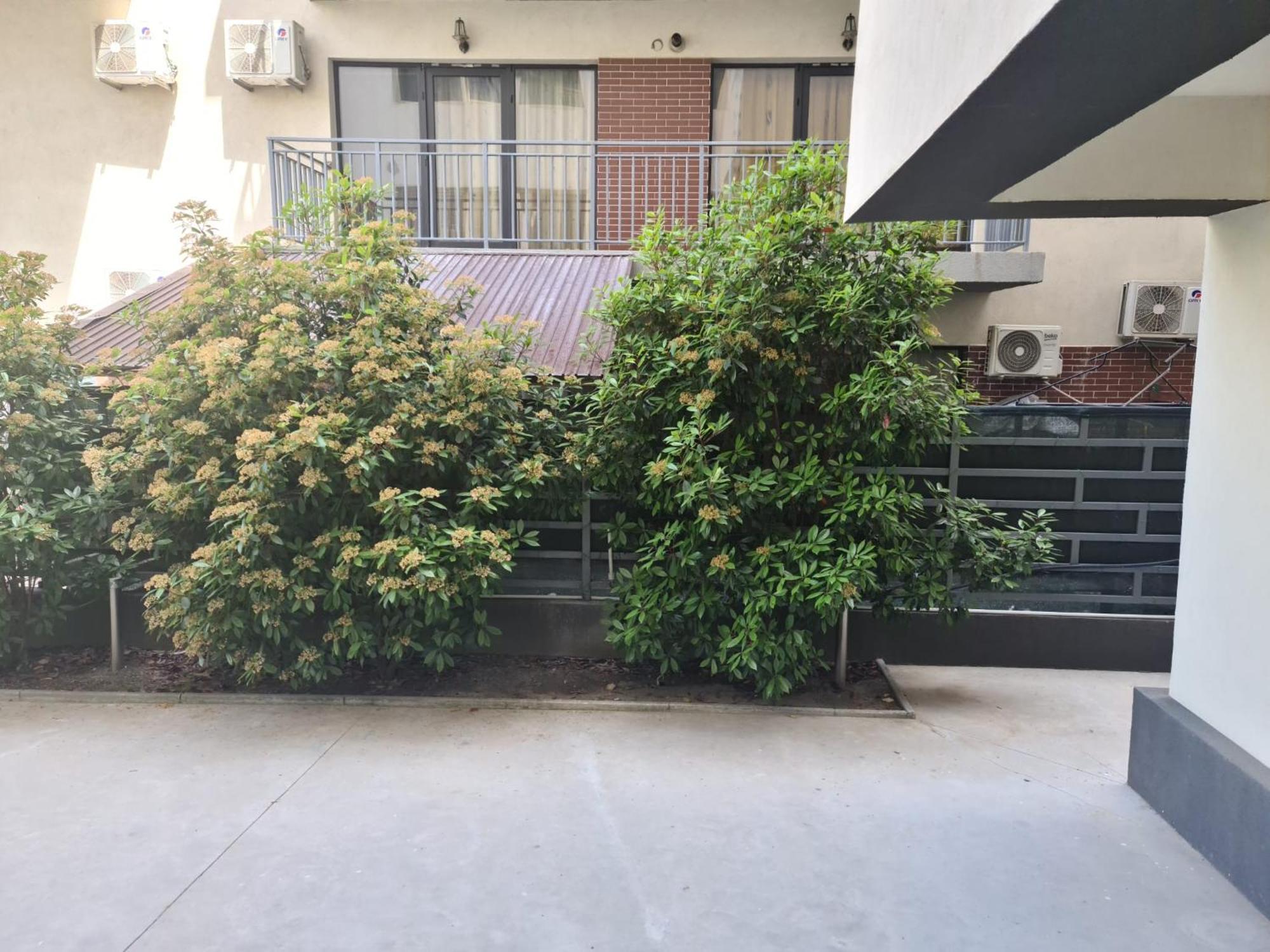 Apartament Deea Нэводари Экстерьер фото